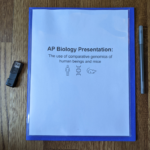 folder 2