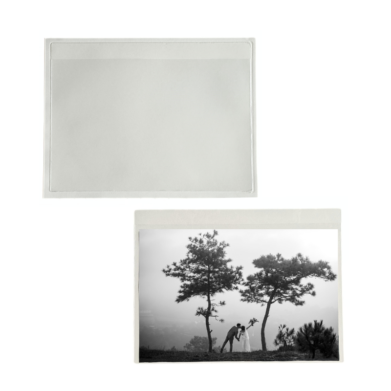 white background