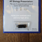 bus card and flash