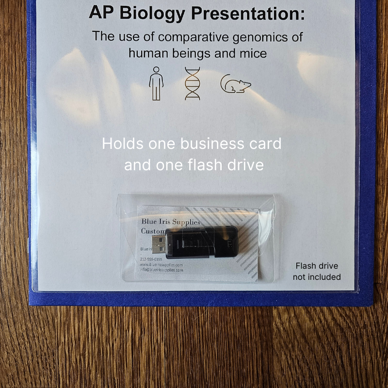 bus card and flash